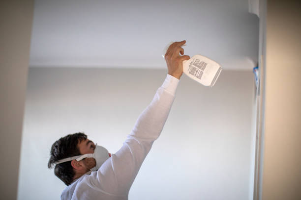 Best Bathroom Mold Remediation in Kingston, WA