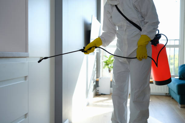 Best Industrial Mold Remediation in Kingston, WA