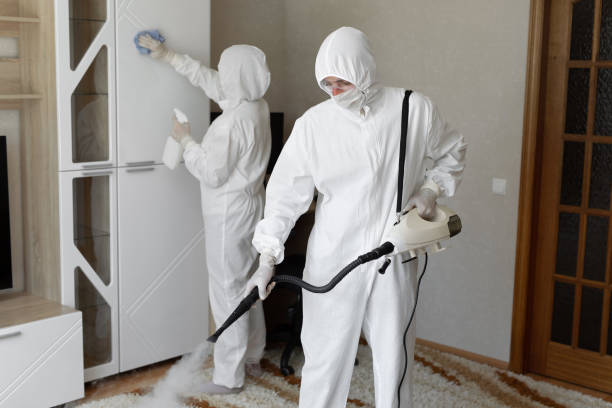 Best Post-Flood Mold Remediation in Kingston, WA