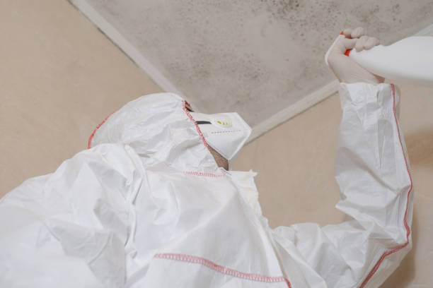 Best Industrial Mold Remediation in Kingston, WA